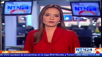 A las puertas del Capitolio: mosquito del zika se estaría adaptando al clima invernal de EE.UU.