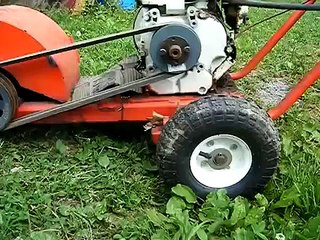 stump grinding boronia heights