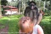 Monkey Doing Mazay With Hot Girl-Top Funny Videos-Top Prank Videos-Top Vines Videos-Viral Video-Funny Fails