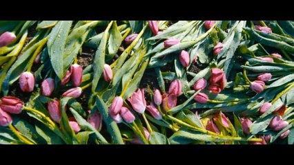 Сергей Безруков — Мама