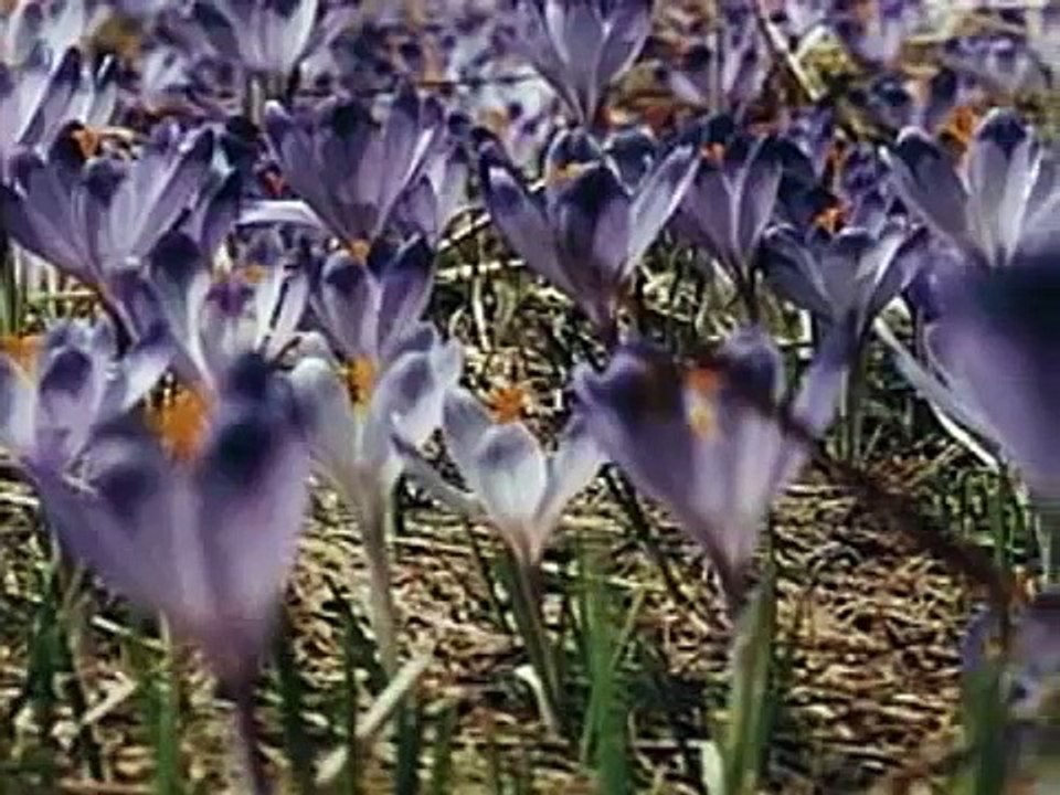 TAKI KRAJ - JAN PIETRZAK