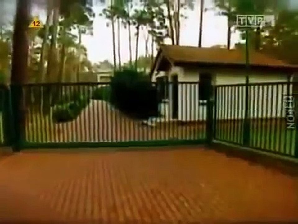 MISJA SPECJALNA - NAJWIĘKSZE OSZUSTWO W HISTORII POLSKI