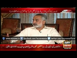 Uzair's entire family supported PPP, says Mirza