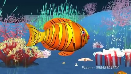 Machi Jal Ki Rani Rymes by B_K_S