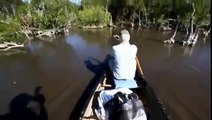 Deux hommes rencontrent un groupe de crocodiles