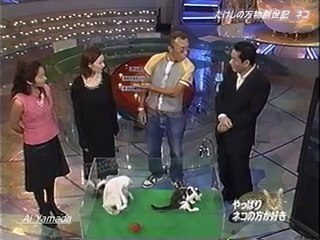 たけしの万物創世紀  ネコ  「やっぱりネコの方が好き」