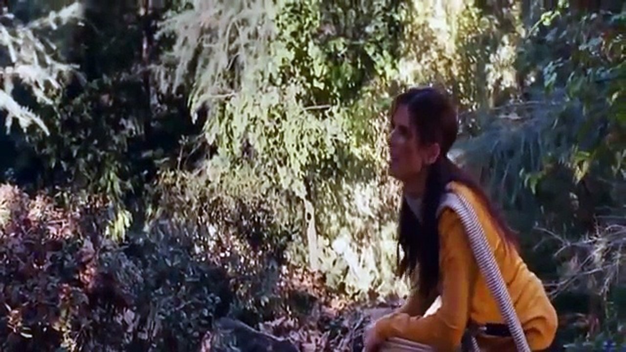 The Proposal Full Movie 2009 English Subtitles part 2/2 video Dailymotion