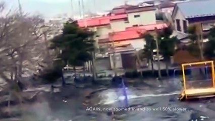 During Japan Tsunami a strange creature was caught on camera - real footage