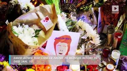 David Bowie Wanted His Ashes Scattered in Bali