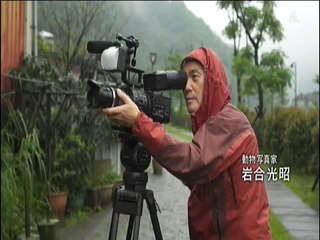 【20150131】岩合光昭の世界ネコ歩きmini「ネコを探せ！～台湾」／NHK