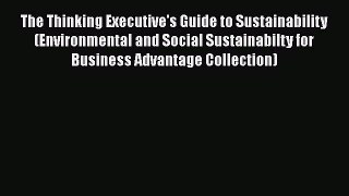 The Thinking Executive's Guide to Sustainability (Environmental and Social Sustainabilty for