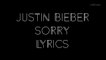 Justin Bieber - Sorry (Lyrics On Screen HD) (Cover)