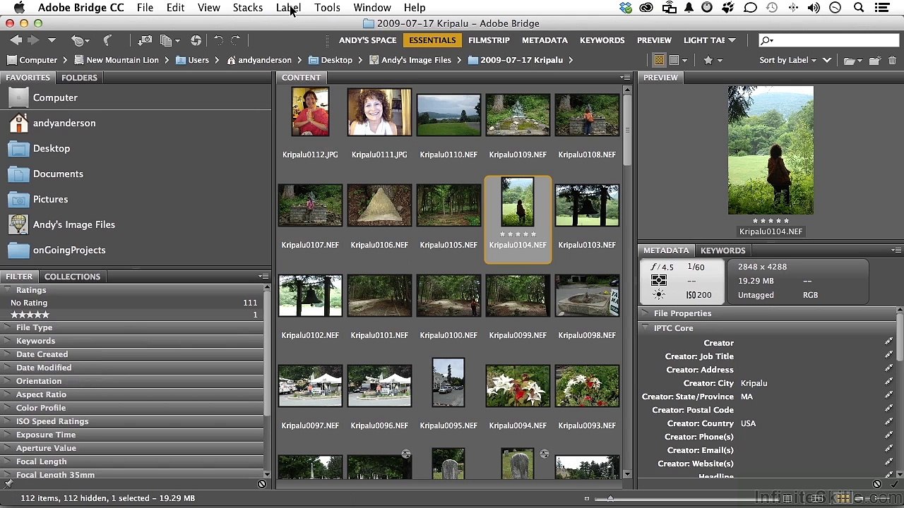 Organizing Images By Rate And Rank 2
