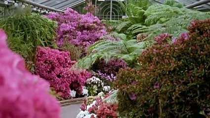 SOKO Stuttgart Staffel 2 Folge 6 deutsch german