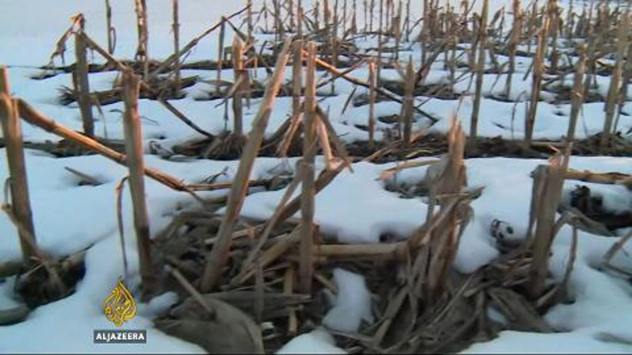 Socialism, Bernie Sanders style