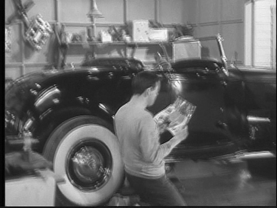 Mickey Rooney Show
