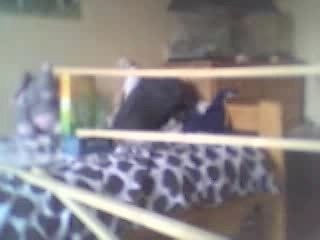 12.05.07 45, 70 et 45cm