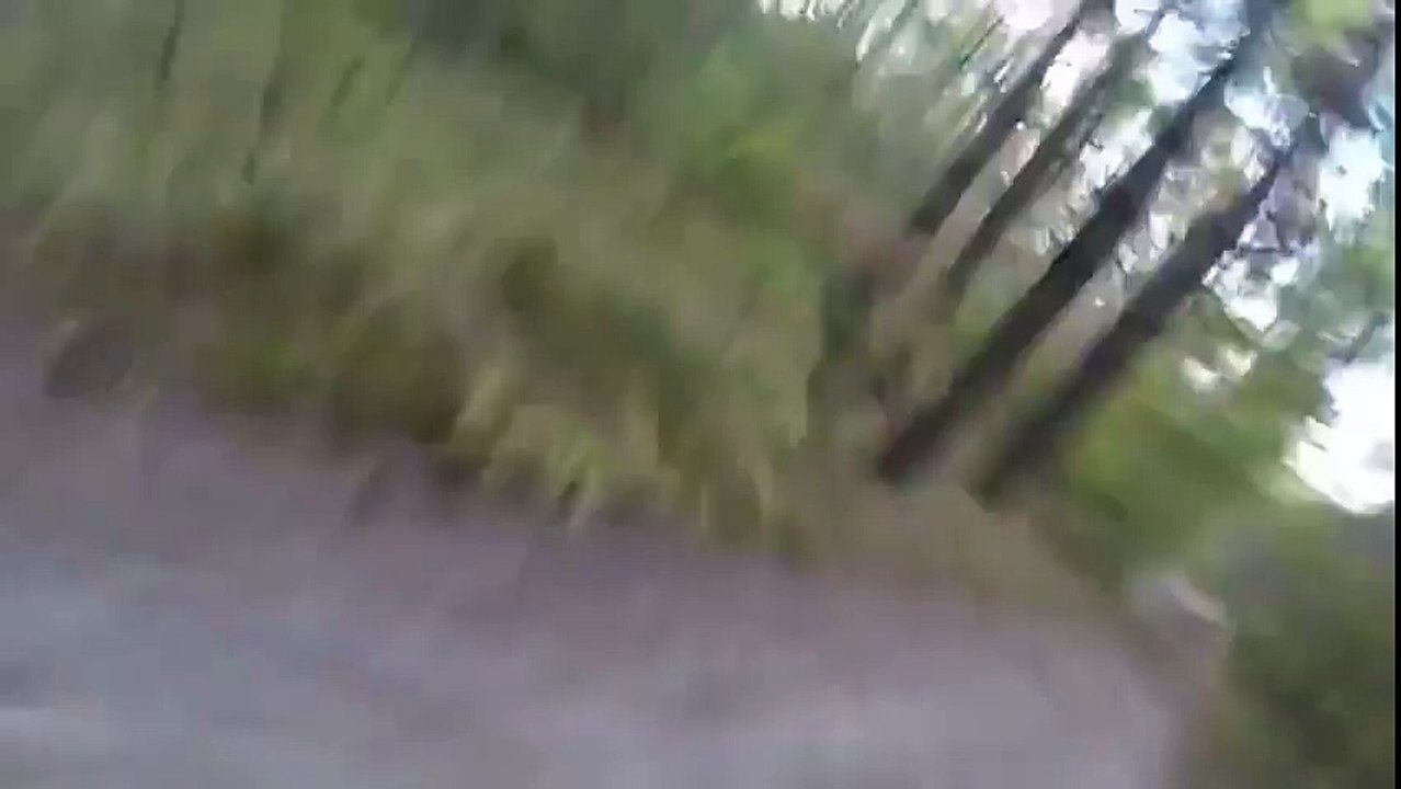 velosiped 3