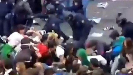 Survive the end days Review