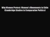 Why Women Protest: Women's Movements in Chile (Cambridge Studies in Comparative Politics)