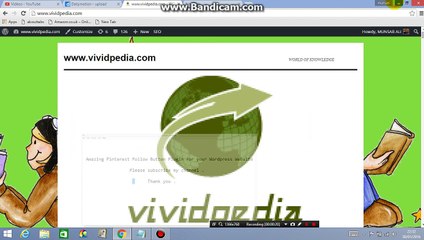 Amazing Pinterest Follow Button Plugin for your Wordpress Website