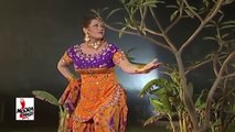 JA JA VE TENU DIL DITA - NARGIS MUJRA - PAKISTANI MUJRA DANCE -2016