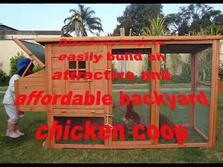 Building a Chicken Coop With PVC Pipe