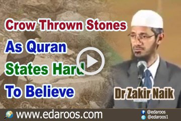 Crow Thrown Stones As Quran States Hard To Believe - Dr Zakir Naik