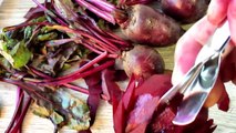 Art In Beetroot Flowers _ Vegetable Carving Garnish _ Flowers Garnish (Italypaul)