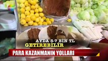 Para kazanma Yolları