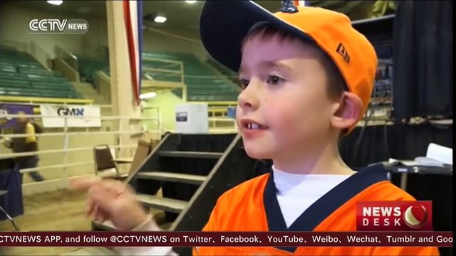 Cute- Mutton busting lets kids become rodeo stars by riding sheep