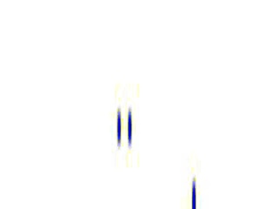 flashvortex converted