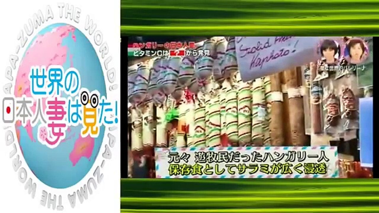 世界の日本人妻は見た！ 動画 ハンガリー 2015年 04月 28日