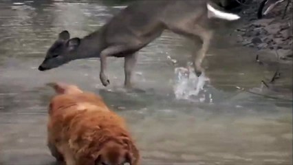 Un enfant qui joue dans l eau