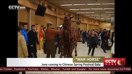 War Horse” Joey coming to Spring Festival Gala