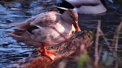 Photography Masterclass