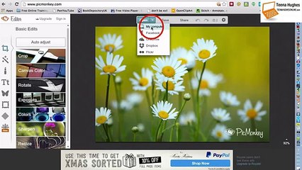 How to add text overlay on an Image using Picmonkey for Explaindio