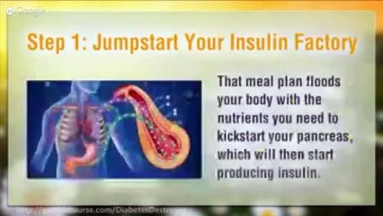 Diabetes Destroyer Book - Diabetes Destroyed Book - Get my SPECIAL BONUSES