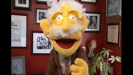 venus factor reviews