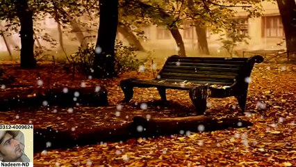 Saya Bhi Saath Jab Chhod Jaye Full HD