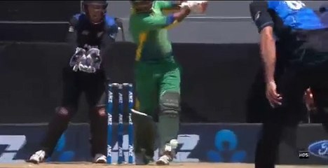 Unfortunate Run Out Of Rizwan - Pakistan 256/6