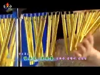 北朝鮮　「旺載山芸術団青峰楽団新年慶祝公演」　KCTV 2016/01/06　Cheongbong Band 2016 New Year Concert