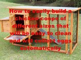 Building A Chicken Coop For 25, 50 Or Even 100 Chickens