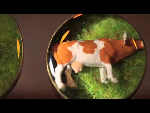 TV3 - Ja t'ho faràs - La Galería, capítol 32.