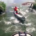 Los Pescados Saltadores