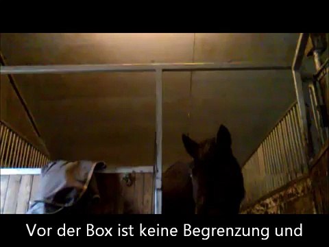 Von wegen Fressmonster - Vorurteile gegen Clickertraining