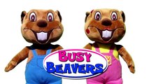 Busy Beavers From Amazon | Buy Billy & Betty Beaver Plush Toy Animals, Kids Stuffed Toys