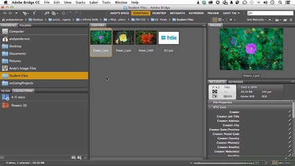 Handling Profiles Within An Image class 14