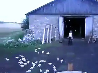 ‫حیرت انگیز تصاویر، ویڈیوز اور خبریں‬