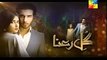 Gul e Rana P1 Episode 13 HUM TV Drama 30th January 2016